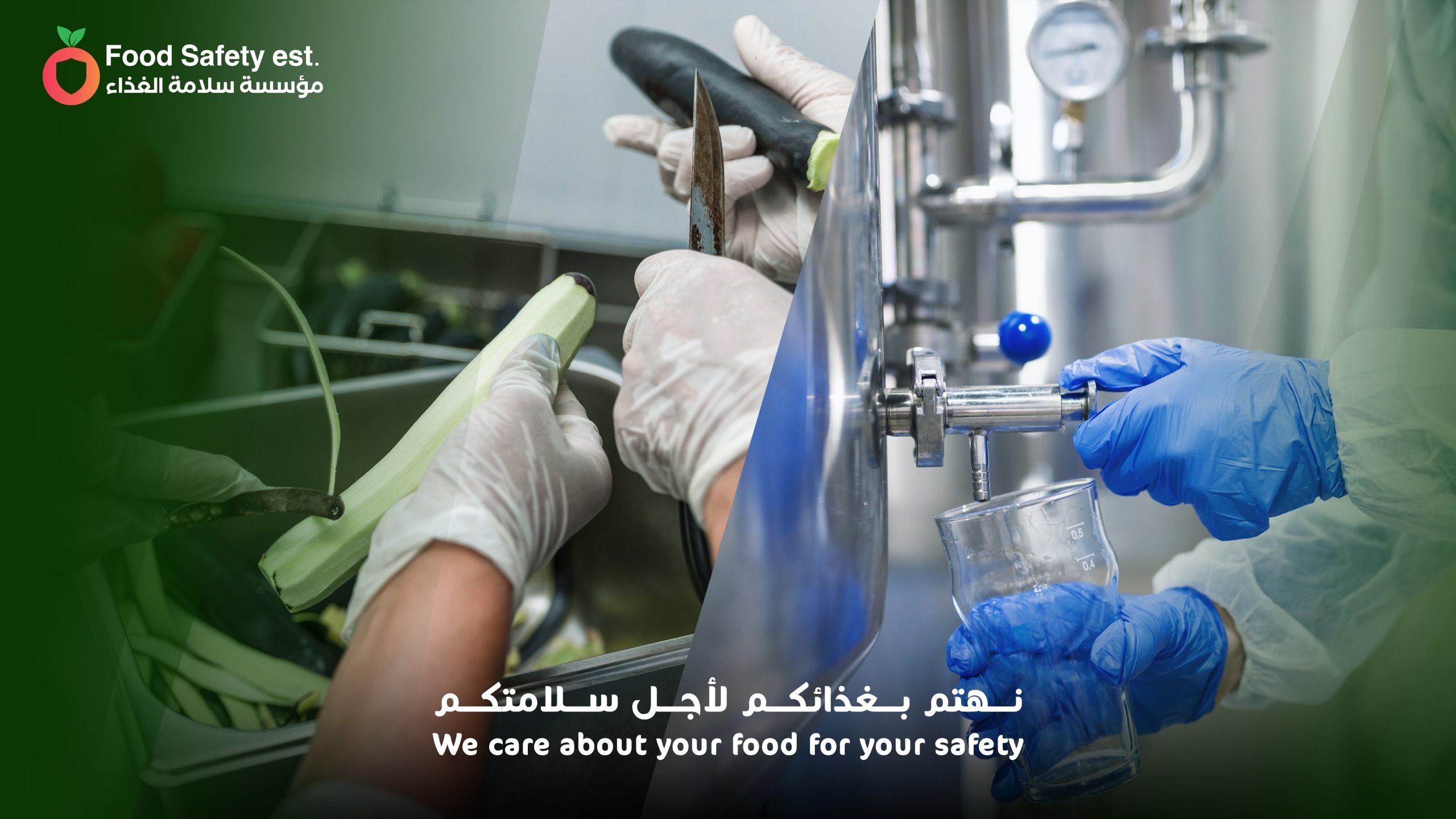 الاستشارات الغذائية