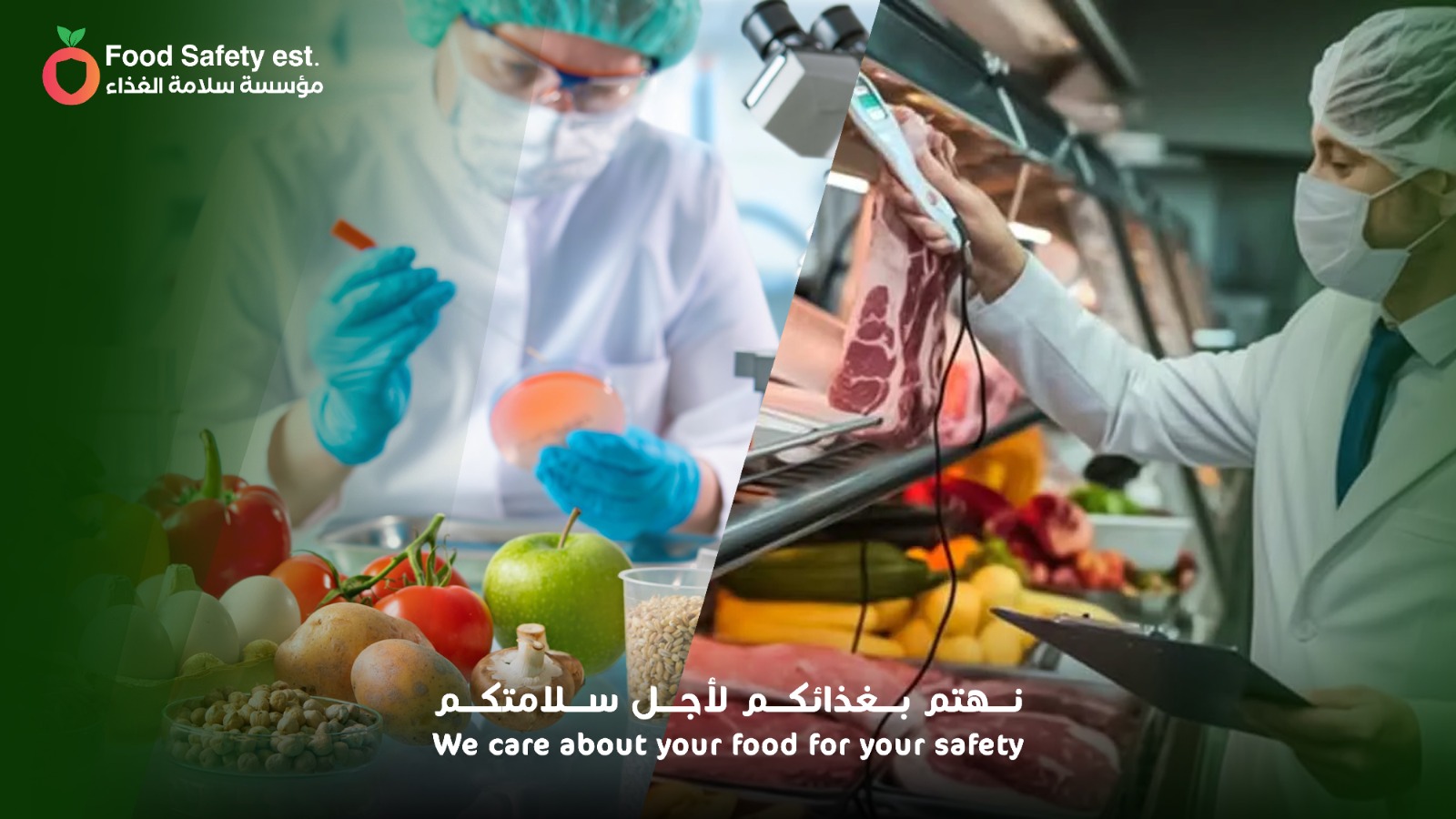 التفتيش الرقابي