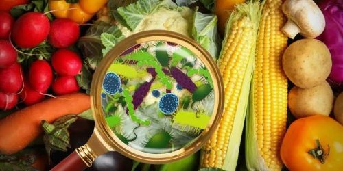 5 Mistakes in the Kitchen That Expose You to Food Poisoning