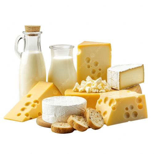 Understanding Types of Milk and Cheeses