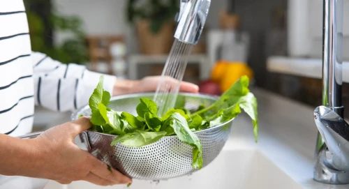 Washing and Sanitizing Leafy Vegetables Method